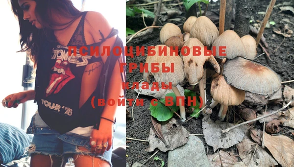 каннабис Аркадак