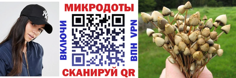 цена наркотик  Семилуки  Галлюциногенные грибы прущие грибы 